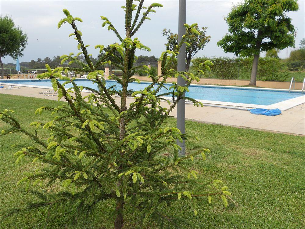 Hotel Sausa Vilafreser Esterno foto
